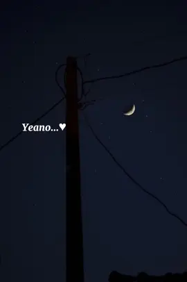 Saaral Mazhaiyaa 🌝✨