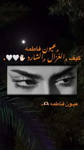 #جديد🤍 #ترند #متابعه #تصميمي #منشن_للي_تحبه # تاق ل ,ِفاطمه 🫶🏻🤍