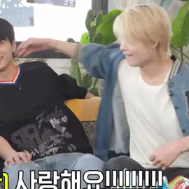 they’re a little chaotic.. like siblings 😭😭 #ENHYPEN #jay #ni_ki #iloveniki 