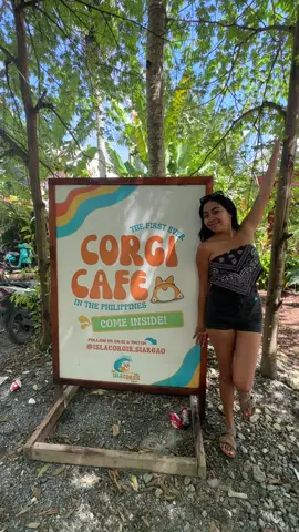 Come with me for a tour inside the FIRST EVER corgi cafe in the Philippines! 🐶 📍 @islacorgis.siargao  #corgicafe #islacorgis #siargaocorgis #islandcorgis #siargao #siargaodogs #dogsoftiktok #corgisoftiktok