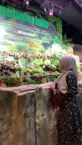 Aquaria Date 🐠🔮💕 #kualalumpurmalaysia #aquariumklccmalaysia #suriaklcc #tripmalaysia🇲🇾 
