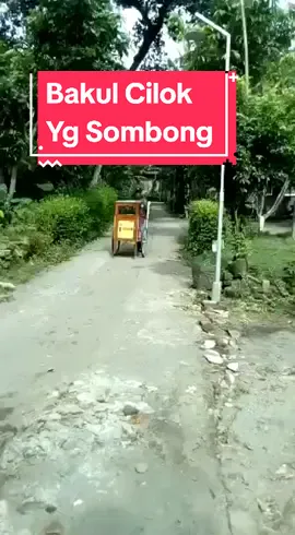 BAKUL CILOK PALING SOMBONG 