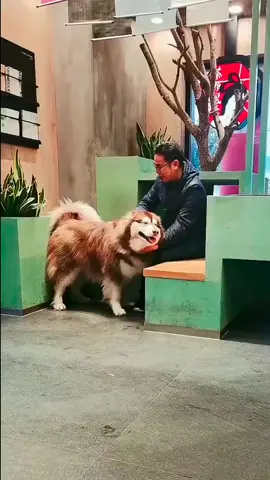 肖像定制#定制 #禮物 #手繪#唯一無二 