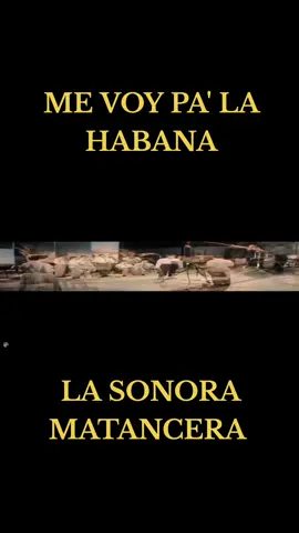 #Salsa #100años #lasonoramatancera #mevoypalahabana #orquesta #Viral #musica #viralvideo #viralreels #viralmusica #tiktok #hitsmusic #Dios #Amor #bendicion #paz #Series #netflix #Peliculas #seriesnetflix #mundo #mundotiktok #Amigos #amigostiktok #amistad #popular #Barranquilla #Colombia #colombia🇨🇴 #lahabanacuba🇨🇺 #Cuba 