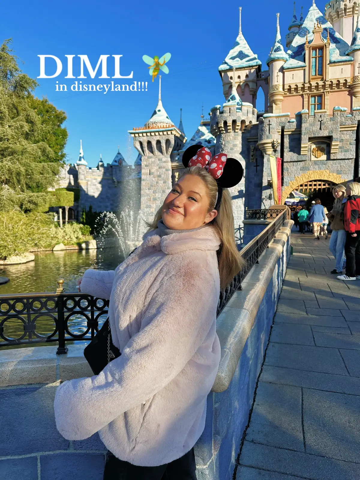 the most magical day in photos. ✨ #fyp #foryou #foryoupage #disneyland #disney #disneylandcalifornia #california #anaheim #diml #disneyparks #themepark #aesthetic #dayinmylife #magic #preppy #disneyadult #disneycreator #orangecounty #disneylandtiktok #Vlog #vacation #Lifestyle #disneytiktok 