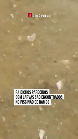 Um banhista compartilhou nas redes sociais um flagra que mostra inúmeros bichos parecidos com larvas no Piscinão de Ramos, na Zona Norte do Rio. No vídeo, é possível ver algumas  criaturas com aspecto de mortas e outras se movimentando na água. Após a publicação do conteúdo, os agentes doInstituto Estadual do Ambiente (Inea) e a Secretaria Estadual de Meio Ambiente foram ao local, na última quarta-feira (10/1), e recolheram amostras para analisar os pequenos bichos que foram encontrados também na areia do local. #Metrópoles #TikTokNotícias 