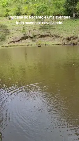Pescaria no Recanto é uma aventura  todo mundo se envolvendo. um de nossos cachorrinhos queria buscar o peixe no dente! #pescariaengraçada #pescaria #cachorrinho #sítio 