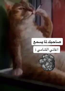 #صاحبك #دخان #كوميدي #اكسبلور #اضحك #مضحك #اضحك من قلبك #مسخرة #تنمر #نكت #2024 #بسة #قطة 