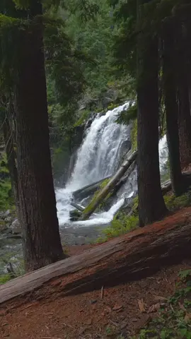 #lugaresincreibles #cascadas #videosbonitos♥️ 