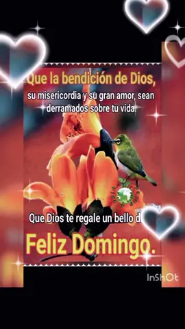 FELIZ DOMINGO AMIGOS 💕 #buenosdias #rociodurcal #musicadelayer #amigos #baladas #clasicosinolvidables 