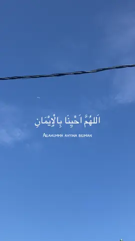 Doa iman 💐 #hurtmyfeelings #bintuhrs #doaiman💚 #doa #peacefuldua #foryou #fypシ #foryoupage #fyp #fyppppppppppppppppppppppp  @شا  @شا  @شا 
