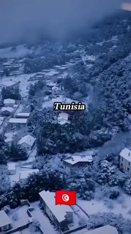 Snow in Jendouba,Tunisia around this time  🏔🤍🇹🇳 #tunisia #tunisian #jendouba #aindrahem #tunisie #tunisiancommunity #tunisien #tunisienne #tabarka #northafrica #northafrican #تونسي #تونس #شمال_افريقيا #tiktok #tiktoklongs #foryoupage #fypシ #Explore #foryourpage #foryou #following #pourtoi #fypシ゚viral #viral #tiktoker #اكسبلورexplore 