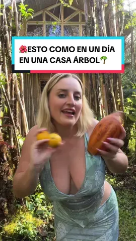 🌺ESTO COMO EN UN DÍA EN UNA CASA ÁRBOL🌴 sin cocina pero con @Bloom Nutrition #parati #Foodie #aventura #bloompartner 