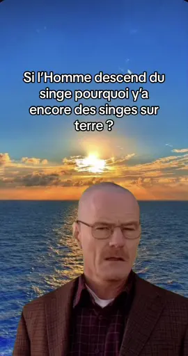 Ça fait réfléchir #fyp #meme #walterwhite #question 