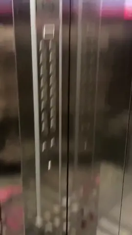 #cat 