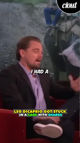 Leonardo DiCaprio got stuck in a cage with a great white shark🦈 #leonardodicaprio #fyp #foryou #page #hollywood #shark