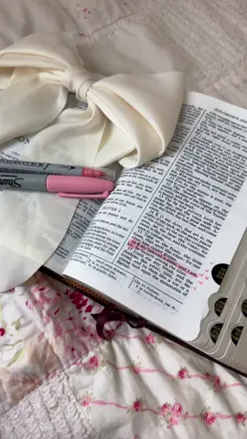 song of solomon 🎀🤍#Love #coquette #aesthetic #biblejournaling #bible #biblestudy #bow #pink #christiangirls #whenyouknowyouknow #viral #trend #pinterestaesthetics 