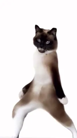 🕺🏼