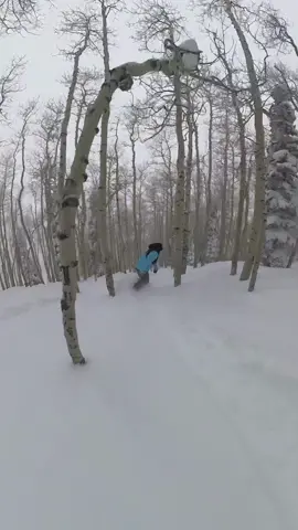 It is not easy to film in the trees and than add fresh snow. The Ski Doctor killed this line! Steamboat has been a dream this weekend and more snow is coming 🙌🏼 #snowboard #snowboarder #snowboardtok #snowboarding #ski #skiing #skitok #teamhuckhouse 