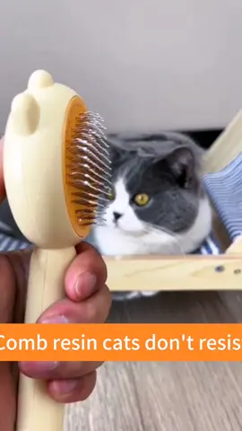 Pet comb!#cat#pet #fyp #foryou #foryoupage #top #tiktok 
