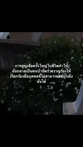 #เธรด #เธรดเศร้า #เธรดความรู้สึก 