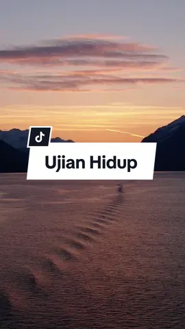 Setiap orang hidup pasti punya masalah, jadi tetap semangat. #motivasihidup #katabijak #nasihatkehidupan #inspirasi #pemudahijrah #islamituindah #nasihatdirisendiri #motivasidiri 