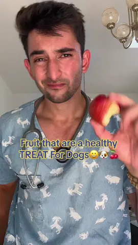 These fruit are a safe and healthy treat for your doggies #dogs #vet #learning #dance #doglovers 