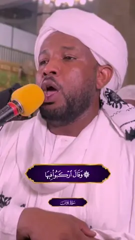#القران_الكريم #سورة_يونس #الشيخ_الزين_محمد_احمد #الزين_محمد_احمد #سودانيز_تيك_توك #ارح_سمعك_بالقران #quran #foryou #foryoupage 
