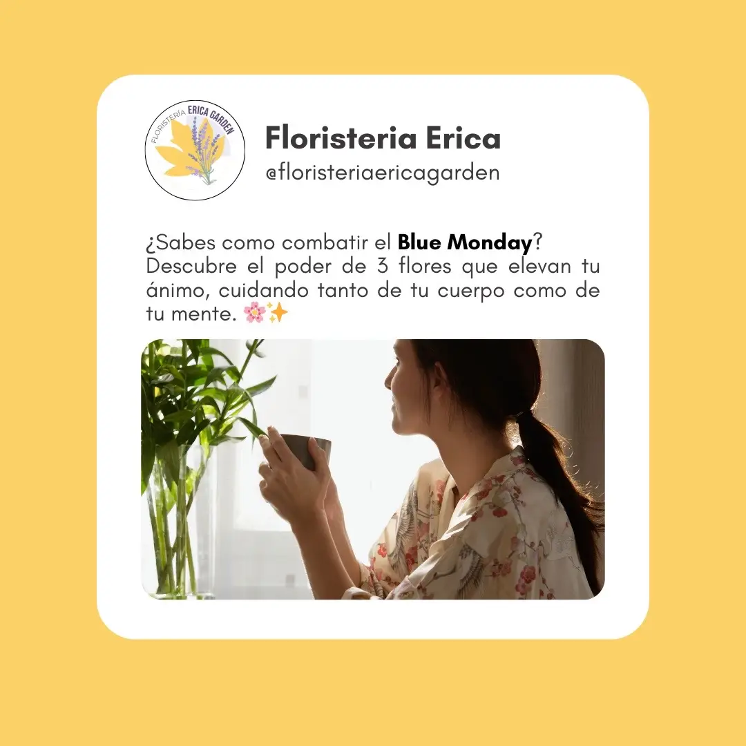 ¿Cómo mejorar el #bluemonday ? 💙🗣️ #floristeria #madrid #floresmadrid 