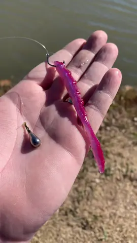 The BEST Way to Catch Winter Bass in Ponds! #fishing #bassfishing #pondfishing #fishingtips #bassfishingtips #winterfishing 