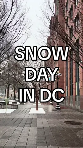 Idk the exact number but its been two years since dc has seen some good snow!!! happy day 🦅 #washingtondc #capitolhill #dc #lifeindc #snow #snowindc #snowday #winter 