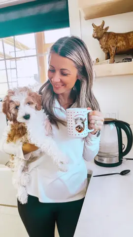 All of us West Texans are freezing our buns off. Thanks winter for showing up, but we can’t wait to see ya go.✌🏻 click the 🔗 in bio to grab my fave electric kettle! #teakettle #electrickettle #westtexas #iamcold 