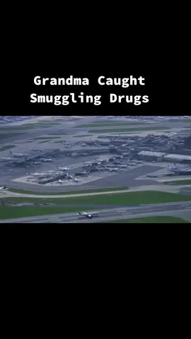 #crimestory #smugglaz #customs #criminal #fy #fypシ #foryou #trending #documentary #truecrimetok 