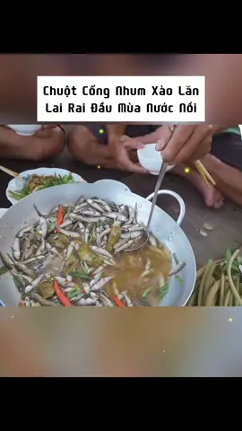 Chuột Cống Nhum Xào Lăn_ Lai Rai Đầu Mùa Nước Nổi