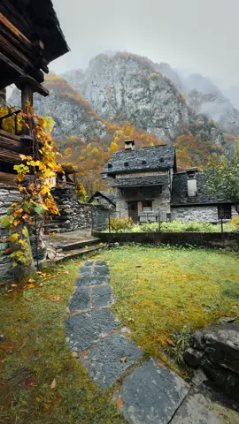 just a moody morning walk … | 📍Ticino / Switzerland  | 📷 more mystic vibes @giuliogroebert  | 🚐 exploring the world w/ @elena_wuest  | #rain #cinematic #nature #autumn #ticino #switzerland #schweiz #rainyday #cabin #village #moody #naturelovers #beautifuldestinations #schweiz 