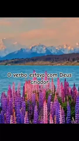 #ccbhinosoficial #ccb #hinosavulsosccb 