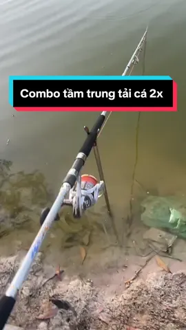 Combo tầm trung Ashinostrong Bạch Kim 2024 + Máy Ranmiplus 8000 tê quá tê ae #câucá #caucágiảitrí #xuhuong #fishing #ashino #ashinostrong 