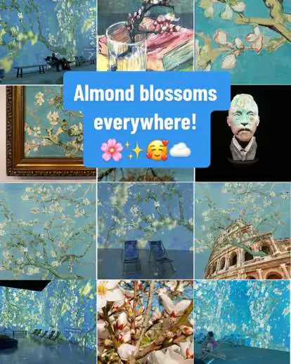 Almond blossoms everywhere! ✨🌸 #flowers #vangogh #art #beautiful 