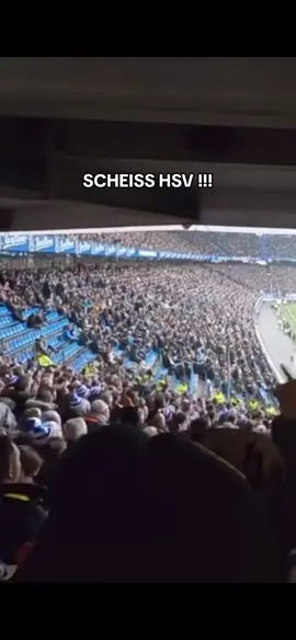 scheiss Hiv #fussball #ksc #nurderksc #2bundesliga #fürimmerksc #wildparkstadion #blauweiss #karlsruhersportclub #karlsruhe #foryou #kscmeineheimat #herthaundderksc🔵💙💪 #karlsruhersc #fyp #scheisshsv 