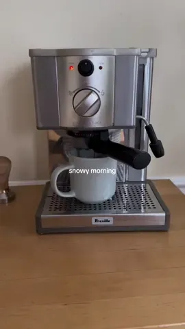 First and hopefully last snowy morning of the season hahah #cozymorning #wintermorning #snowymorning #wintervibes #morningroutine #cozymorningathome #cozyathome 