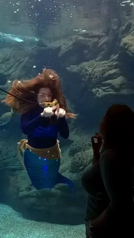 With my mer-mama fooling around 💕 #cretanmermaid #aquariummermaidperformer #thecretanmermaid #aquariummermaid #mermaidtail #merbabe #mermaidsgreece #mermaidaquarium #mermaidtankshow #mermaidvibes #aquarium 
