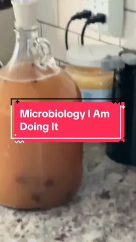 The Exmormons know… #mead #mushroomcultivation #cidergang #exmormon #mormon #primarysongs