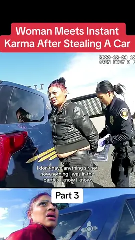 Woman Meets Instant Karma After Stealing A Car