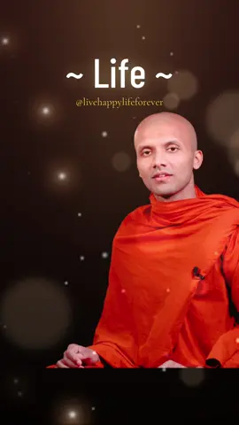 #thoughts #lifetips #lifelessons #inspiration #truth #Lifestyle #truestory #buddhism #wisdom #motivation #supreemBuddha