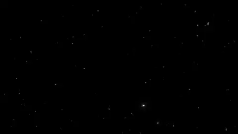 وياريت عمري يضيع والقاه ✨