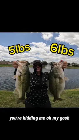 Catching Two Monster Bass on One Cast! 🤯 #bassfishing #fishing #fishingvideos #giantbass #bigbass