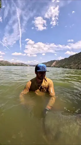 Vaya cabeza ha asomado ayi 😃🔥 @Adventerfishing  #fishing #pesca #wedkarstwo #catfish #siluro #sum #spinfishing #rivergishing #monsterfish #predatorfish #sports #deporte 