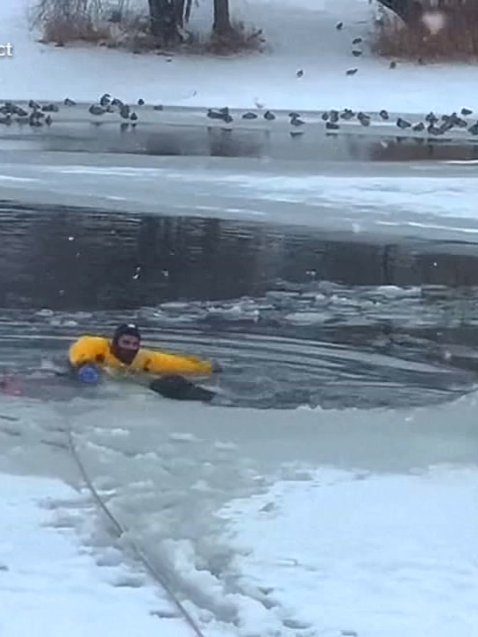 Video shows a firefighter rescuing Bob the dog from a frozen pond in Utah. #news #fyp #bobthedog #rescue