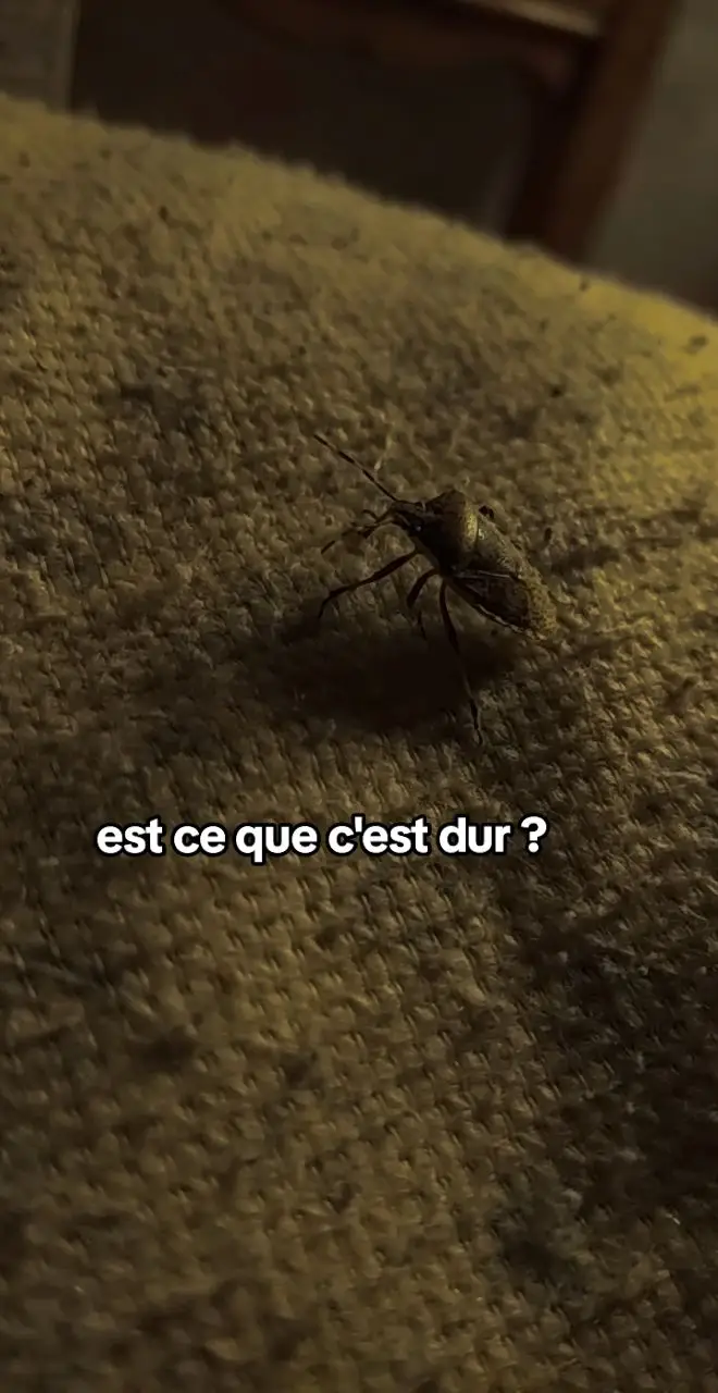 ça va faire un an au mois d'août 🕊️🥀