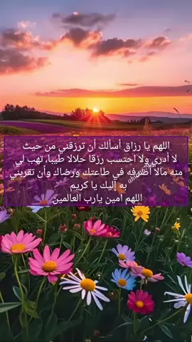 #دعاء_جميل #دعاءمستجاب🤲 #صباح #يوم #لاتنسوا_ذكر_الله🤍 #يارب❤️ #دينية_اسلاميه_ادعيه_اذكار_قران_كريم #اقتباسات_عبارات_خواطر #اقتباسات #حكم_وأمثال_وأقوال #معلومةدينية #وتساب #توكلنا_على_الله_فهو_حسبنا #الجزائر #المغرب #بغداد_العراق #مصر #السعودية #الكويت_مصر_السعودية_سوريا_الامارت #معلومةدينية #صباحالخير 